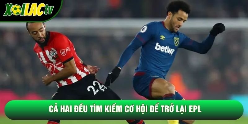 Cả hai đều tìm kiếm cơ hội để trở lại EPL Cả hai đều tìm kiếm cơ hội để trở lại EPL