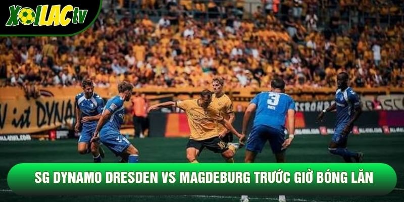 SG Dynamo Dresden vs Magdeburg trước giờ bóng lăn SG Dynamo Dresden vs Magdeburg trước giờ bóng lăn