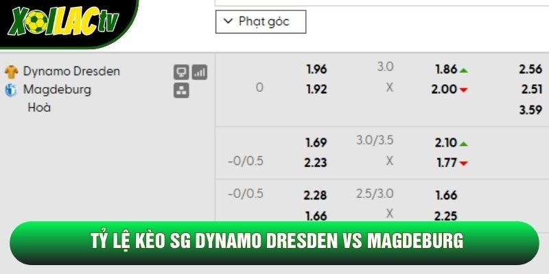 Tỷ lệ kèo SG Dynamo Dresden vs Magdeburg Tỷ lệ kèo SG Dynamo Dresden vs Magdeburg